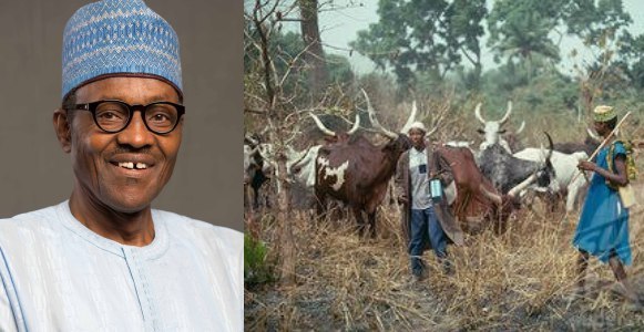 Even cows in the bush are happy with Buhari's re-election - Fulani Herdsmen