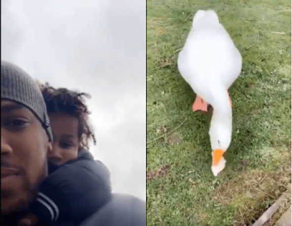 Anthony Joshua Spends Time With His Son, JJ Feeding Ducks