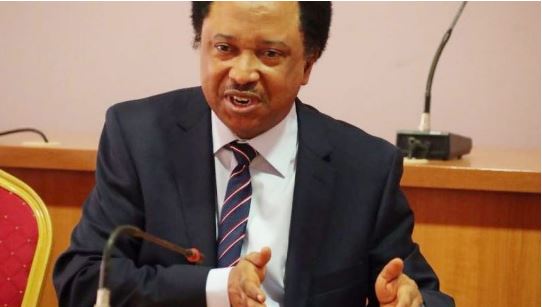 Shehu Sani