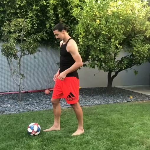 Zlatan Ibrahimovic