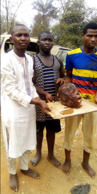 Alfa and his accomplices arrested for stealing the head of a corpse for money rituals (graphic photos)