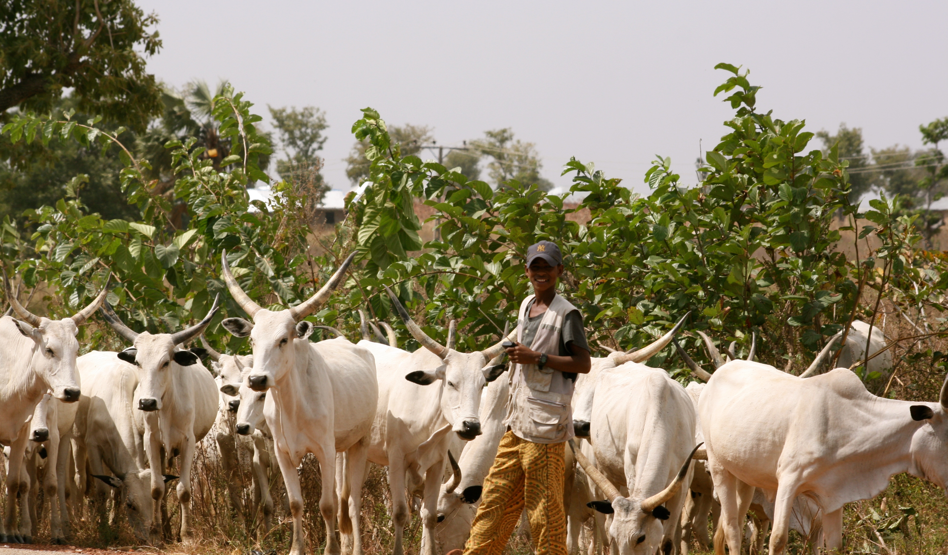 HERDSMEN