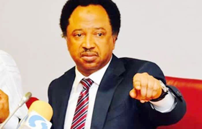 Court grants Shehu Sani bail