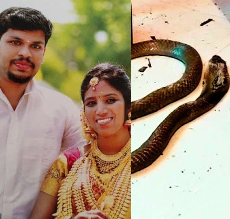 Sooraj killed his wife with a snake