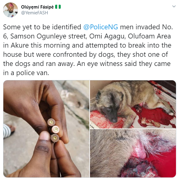 Dog on the brink of death after a policeman allegedly shot it when it prevented them from entering a compound in Akure (graphic photo)