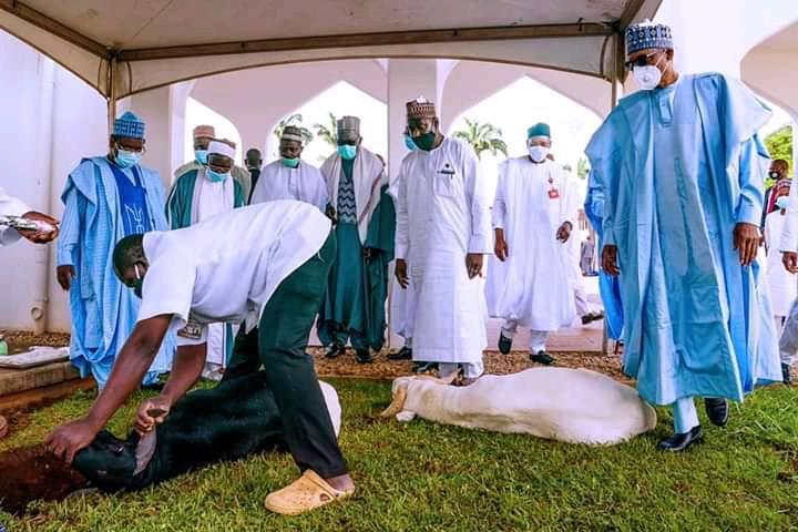 Buhari observes the slaughtering of ram to mark the Eid-el-Kabir celebration in Abuja