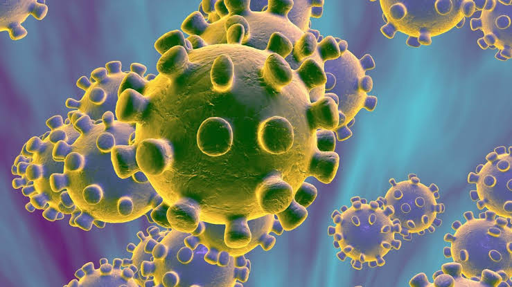 "35 In Plateau, 21 In Kaduna" - Nigeria Confirms 143 New Coronavirus Cases As Total Hits 54,008 1