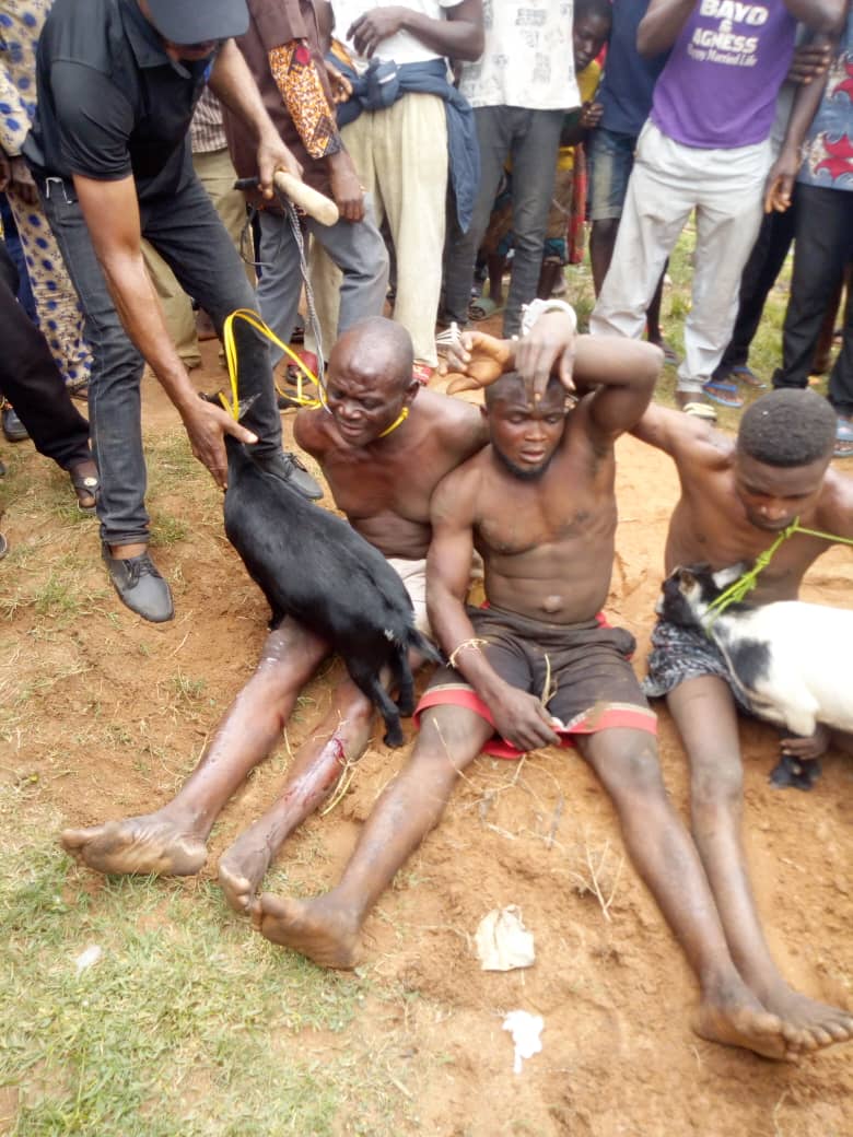 Retired Police Officer Arrested For Stealing Goats To Celebrate Late Mom’s Remembrance In Benue 2