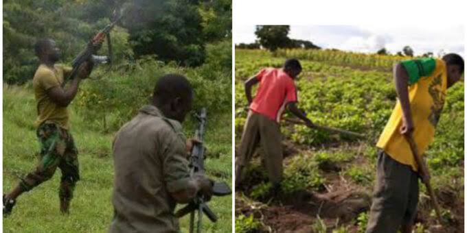 Bandits Demand N900k From Zamfara Farmers Before They Can Harvest Their Farm Produce 1