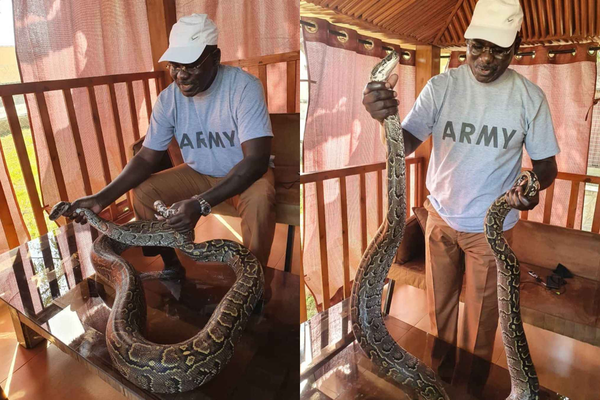 Army Boss, Buratai Poses With Snake In His Farm, Keeps Mum On Katsina Abduction 1