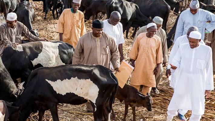 Buhari Visits His Cows In Daura After Refusing To Visit School Of Kidnapped Students In Kankara [Video] 1