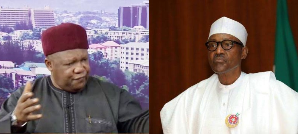 Cabal Ruling Nigeria Like Drunken Sailors After Hijacking Buhari’s Governemnt – Mailafia 1