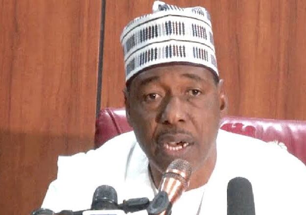 Some Members Of Boko Haram Are Christians, White Men, Asians – Governor Zulum