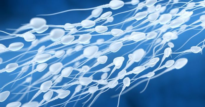 Male infertility threatening ‘future of human race,’ says author of new book