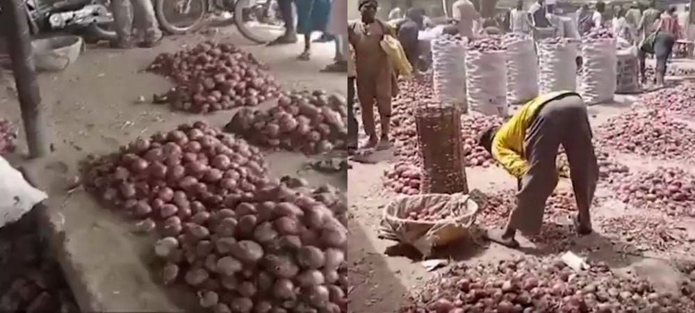 Kano Traders Laments As Onion Bag Sold In South For N35k Crashes To N7k In The North 1