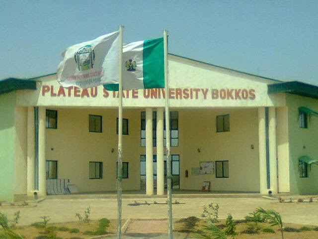 100 Level Plateau University Student Falls Off Vehicle, Dies While Protesting Insecurity 1