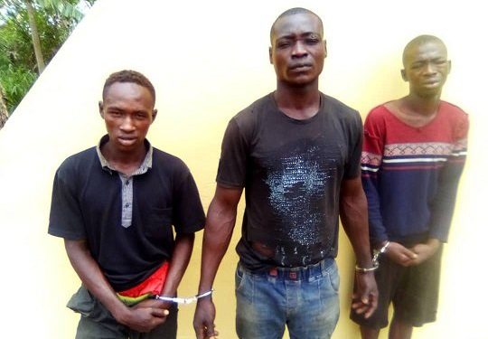 Kidnappers arrested in Ogun
