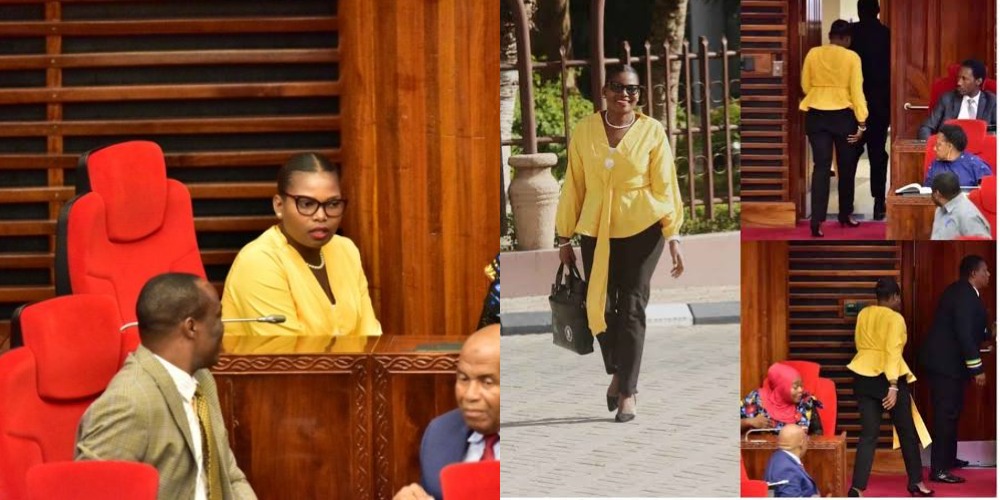 Tanzania Female Lawmaker Thrown Out From Parliament For Wearing Tight Trousers [Photos] 1