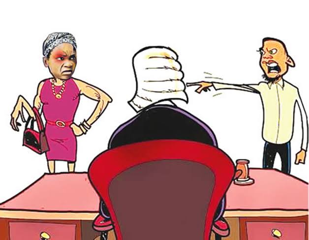 Kaduna Woman Drags Ex-husband To Court Over Refusal To Feed 6 Of Their 9 Children