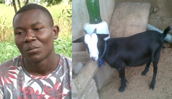 Man Runs Mad After His Girlfriend Allegedly Turned Into Goat While In Bed With Him