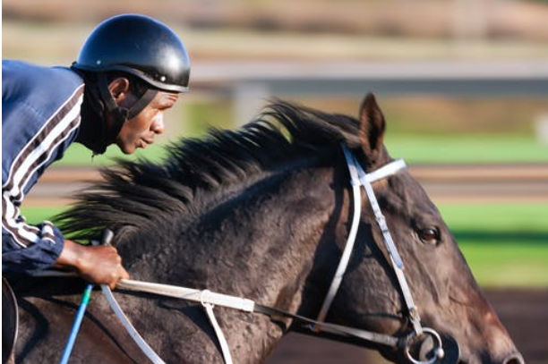 Horse Racing in Nigeria