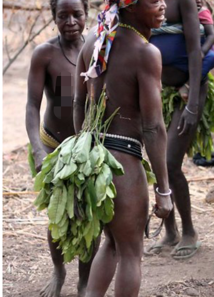 720px x 999px - The tribe in Nigeria where women wear leaves instead of clothes out of fear