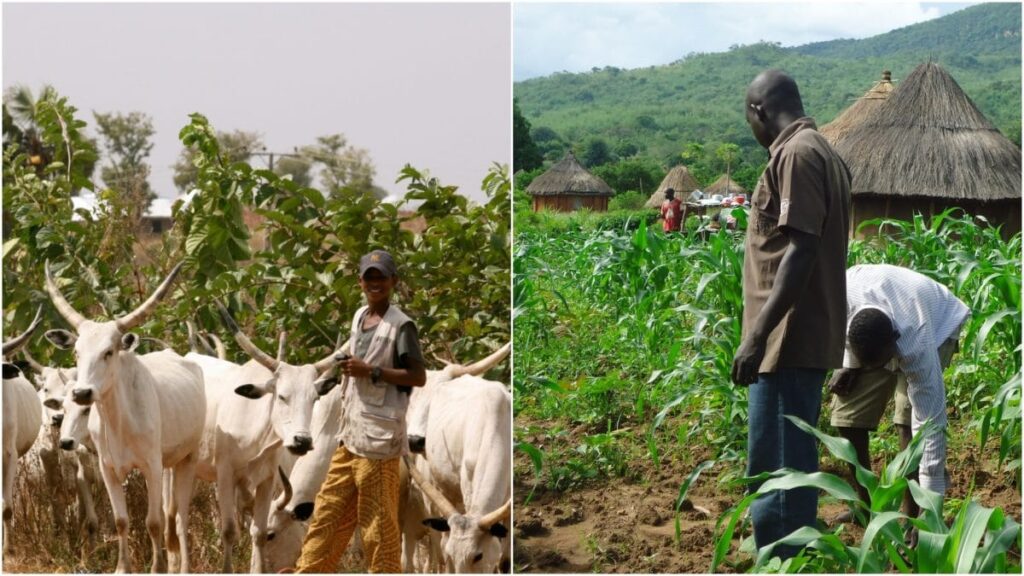 Two Persons Injured During Clash Between Fulani Herdsmen And Farmers In Anambra