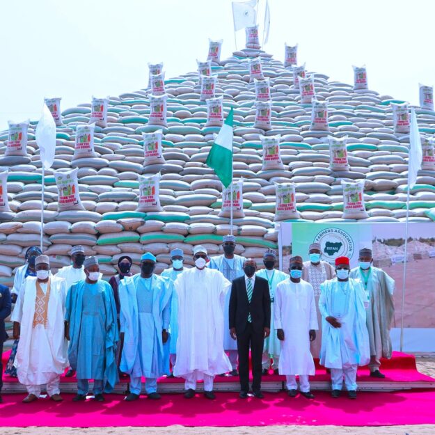 Buhari, Emefiele, governors elated as local rice production hits 9m MT