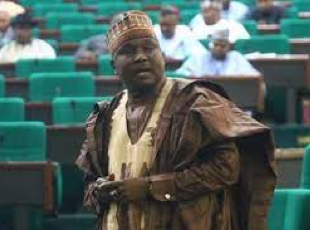 Majority leader fathers 28th child, still counting, demands polling unit for his house by 2023
