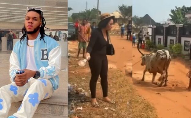 Nigerian Man Buys Cow As Wedding Gift For Cousin Who Helped Him Relocate Abroad (Video)