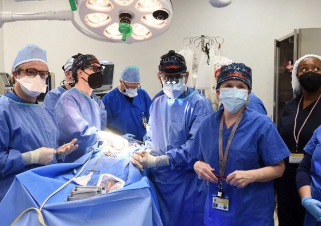 Pig Heart Transplanted Into American Man In Breakthrough Surgery (Photos)