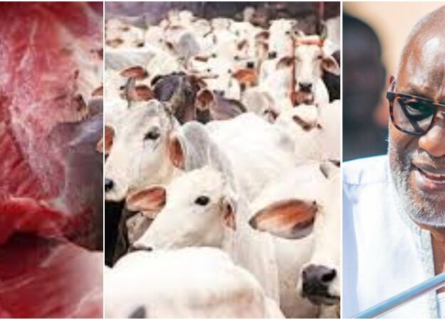 “Stop Eating Beef, We’re Losing N2.5bn Daily” – Gov Akeredolu Tells Yoruba People