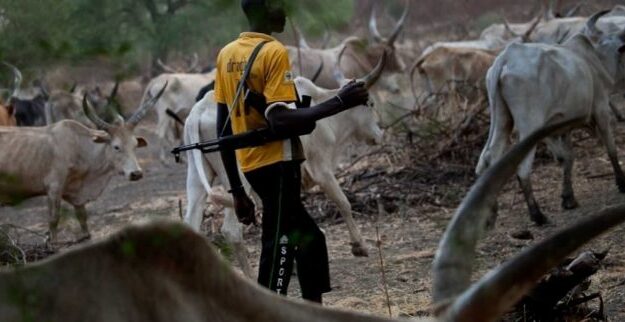 Terror herdsmen slaughter scores of villagers in Gombe