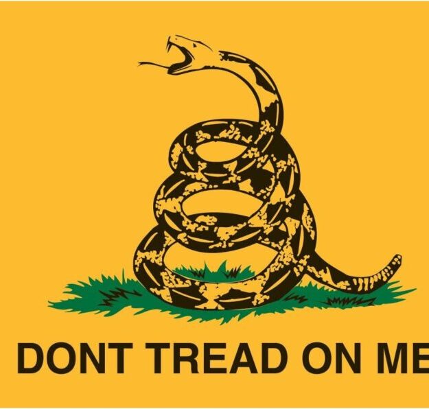 The Hidden Tale of the Dont Tread On Me Flags