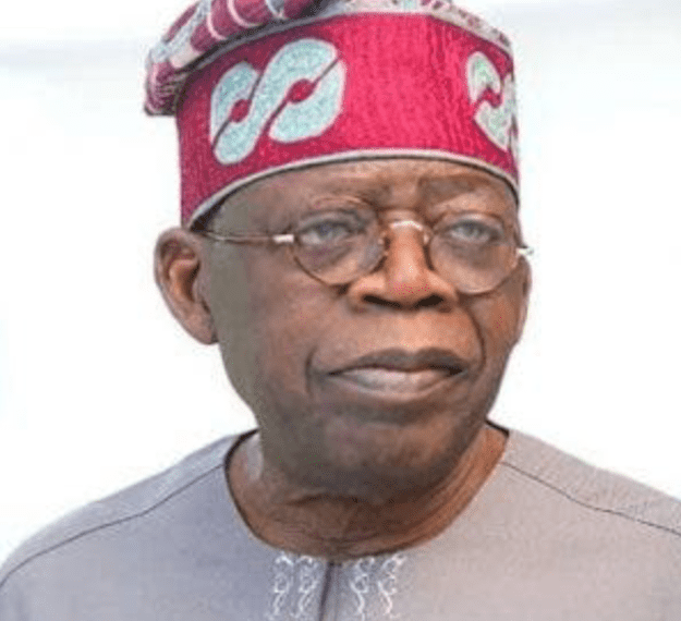 Tinubu not bothered by assumptions of some people, says group