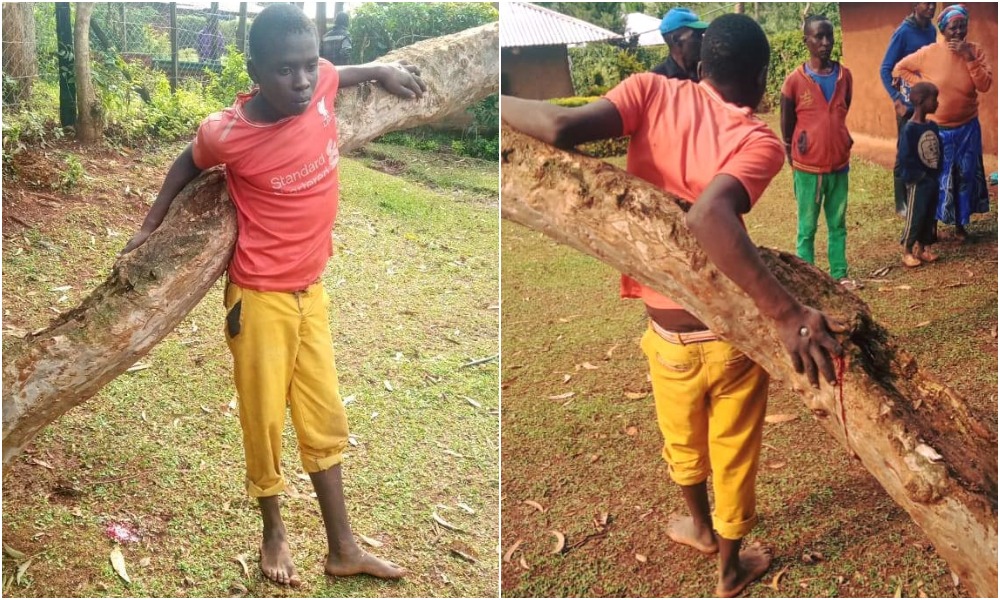 Police Rescue 19-Year-Old Boy Nailed To A Tree For Allegedly Stealing Radio [Photos]