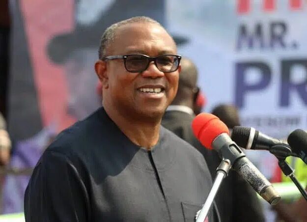 It Is In The Interest of Kwankwaso To Take The Vice Presidency. Peter Obi Is The Man of The Moment – Labour Party Chairman