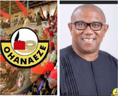 2023 PRESIDENCY: Pressure Mounts On Ohanaeze To Declare Stands On Peter Obi
