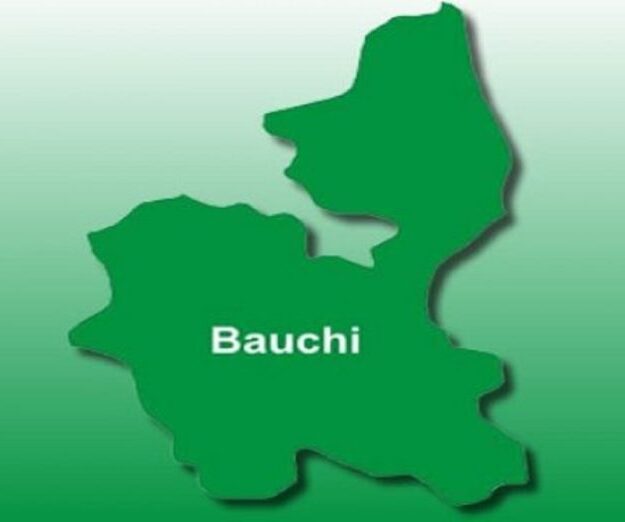 Police investigate rape of one-year-old baby, murder of minor in Bauchi