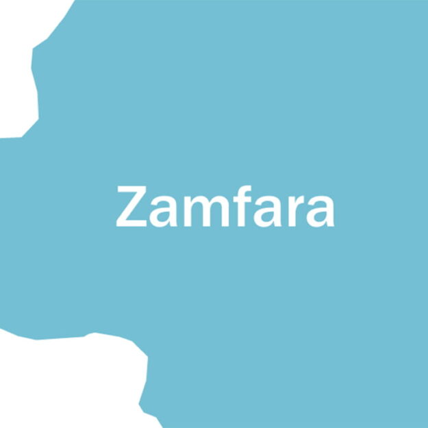 Zamfara govt declares death sentence for bandits, informants, cultists