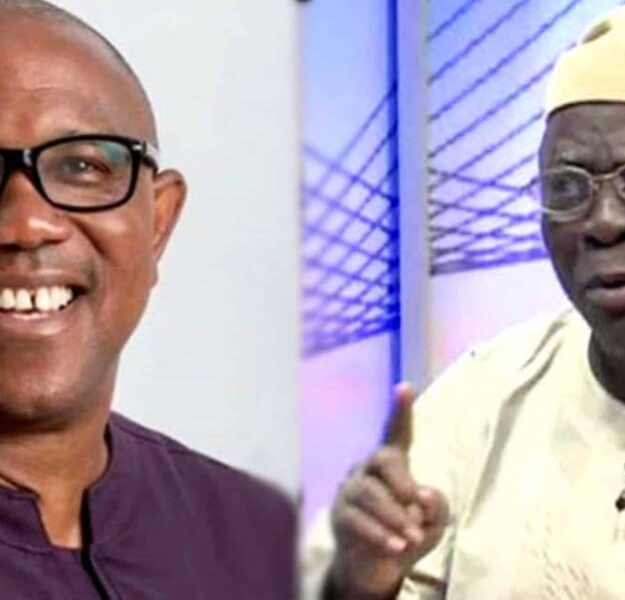 2023: Yoruba elders react as Afenifere endorses Peter Obi