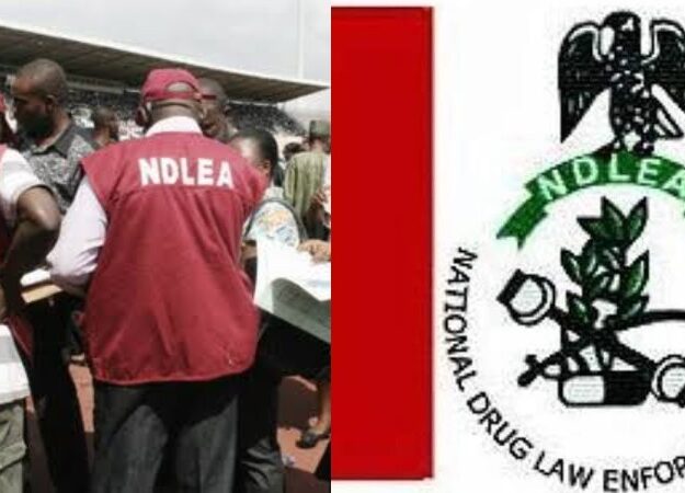 72-Yr-Old Herbalist Among Others Paraded By NDLEA In Delta