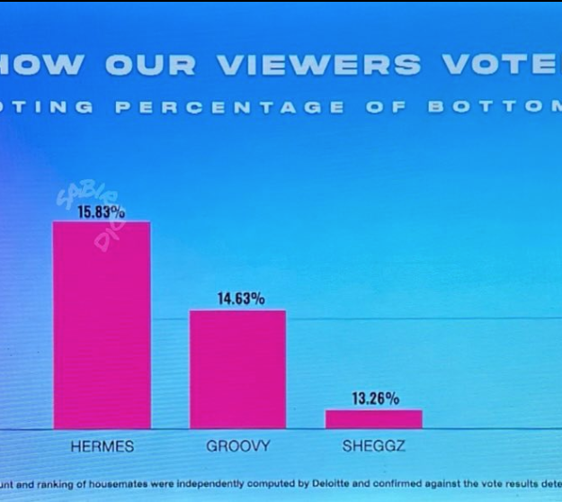 Bbnaija S7: How viewers voted Sheggz, Hermes, Groovy