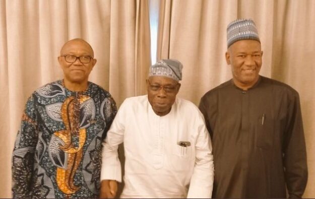 Obasanjo May Support Peter Obi – Ex-President’s Aide Reveals