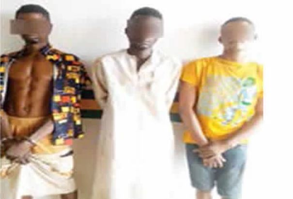 Photo Of Three Suspected Cultists Who Were Nabbed For Robbery In Ogun