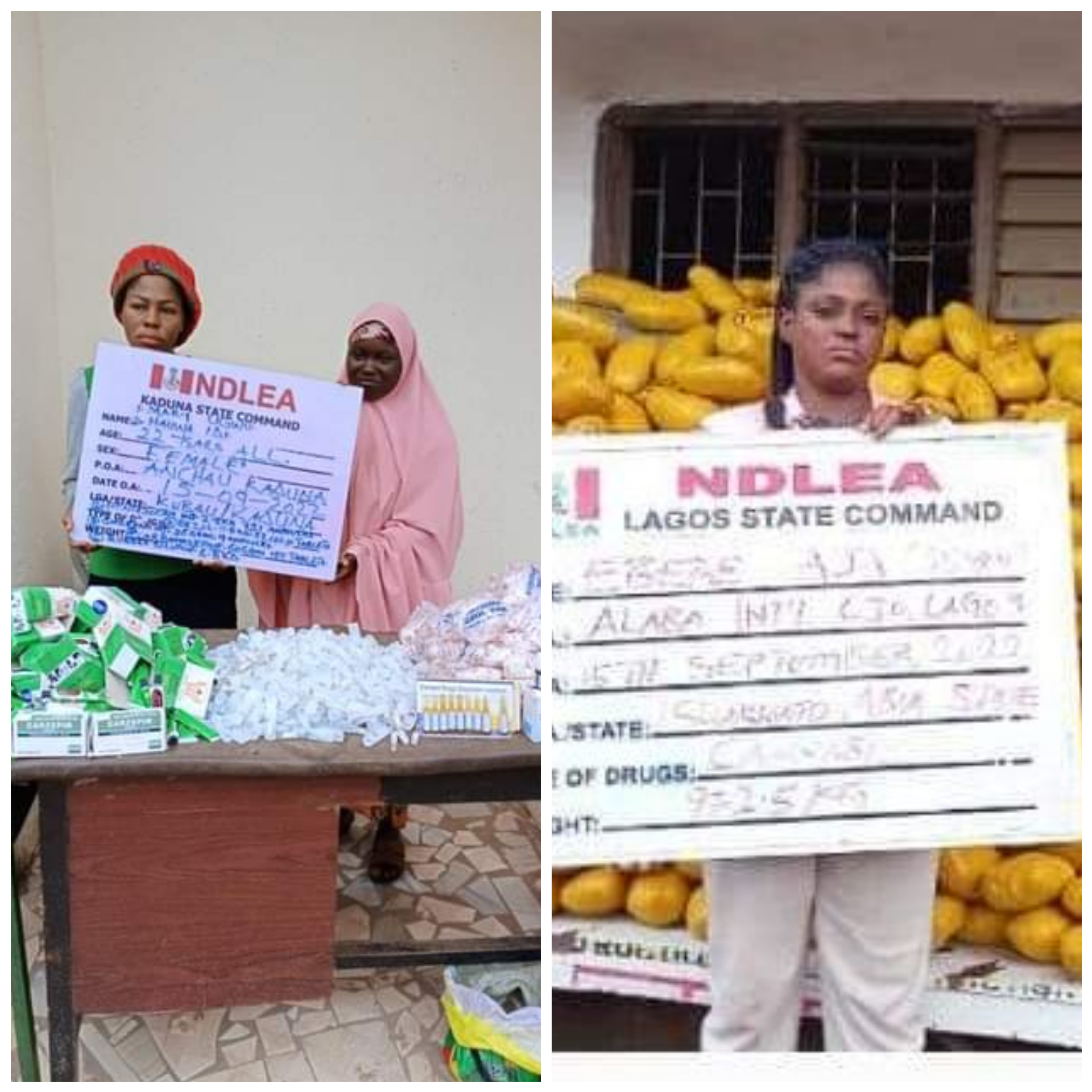 Three Women Arrested As NDLEA Intercepts 972.5kg Parcels Of Cannabis ...