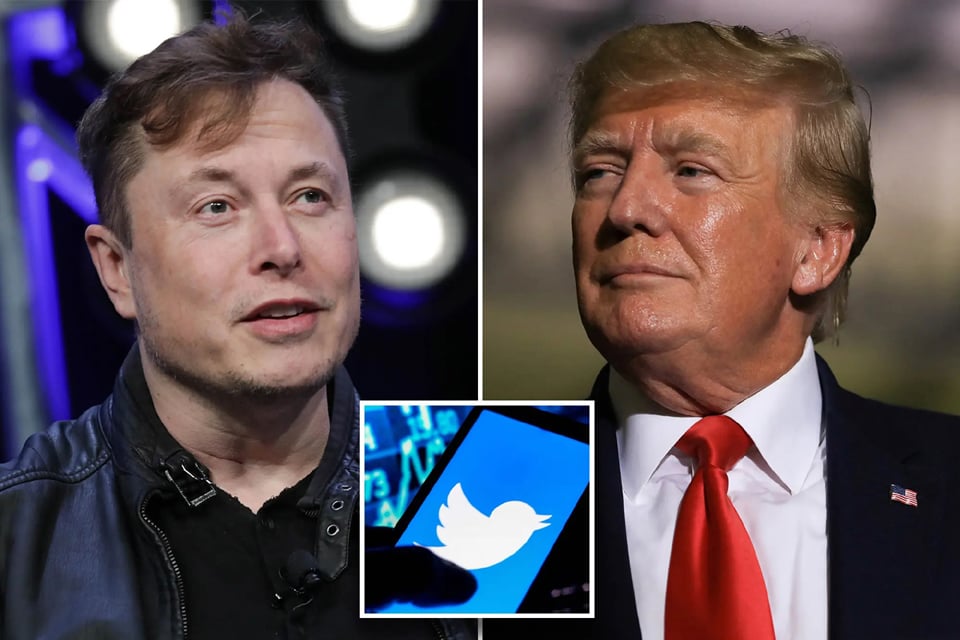 Elon Musk Sacks Top Twitter Executives, Sets To Reverse Life Ban On Donald Trump