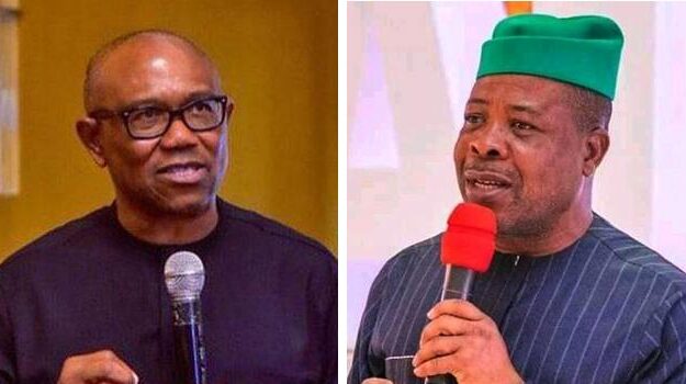 [Video] PDP needs to work harder to beat Peter Obi in S’East – Ex-Gov. Ihedioha