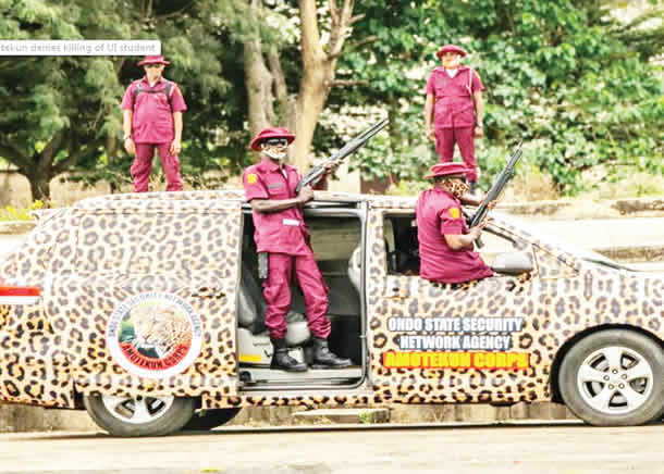 Amotekun recovers AK-47 rifles hidden in Oyo forest