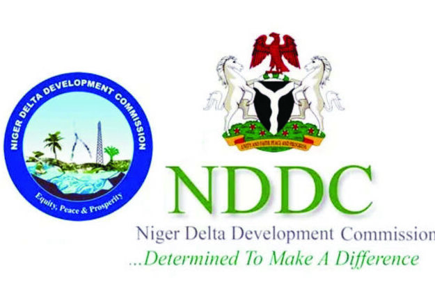 NDDC: Onochie will not disappoint, Activist assures, canvases Senate approval